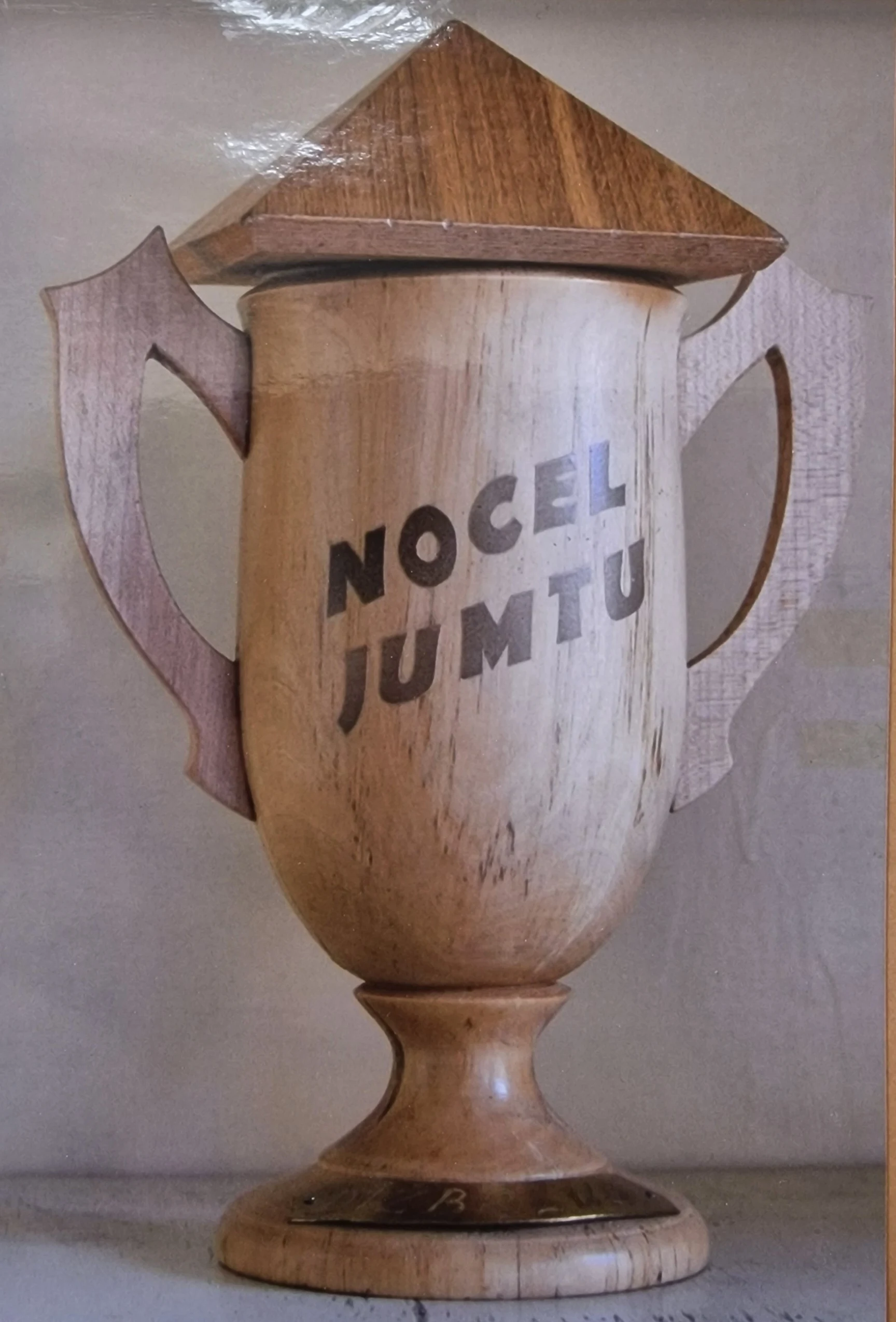 Nocel jumtu