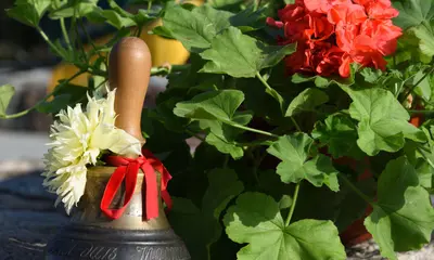 Tiekamies Zinību dienā – 1. septembrī! Jēkabpils Valsts ģimnāzija gaida tieši Tevi!