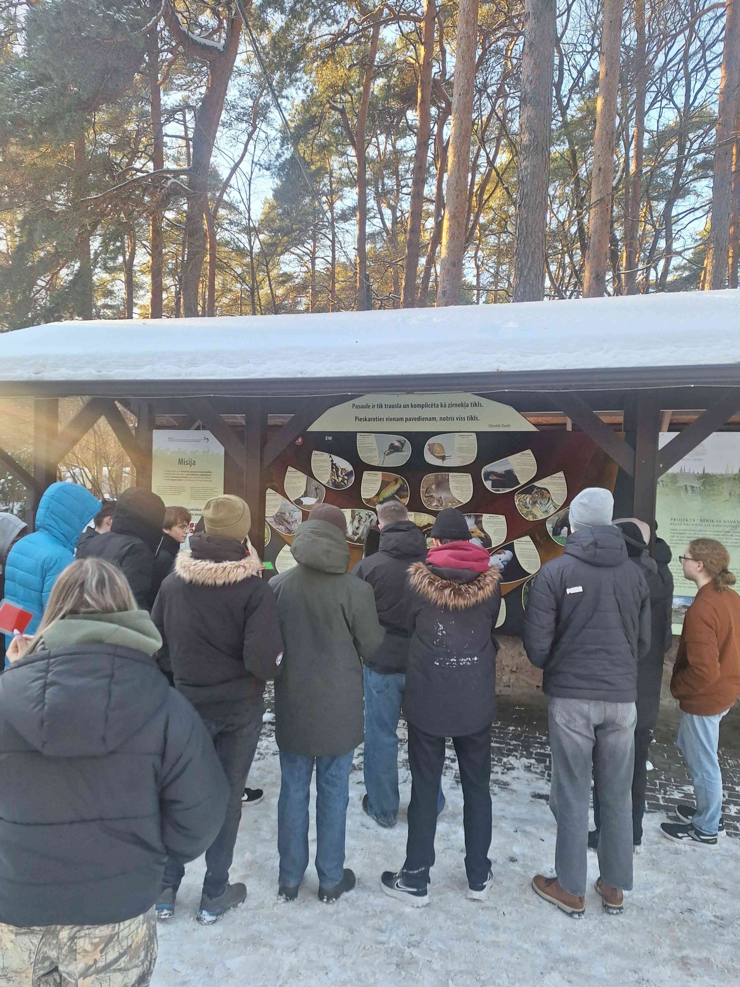 Galerijas fotogrāfija nr.3