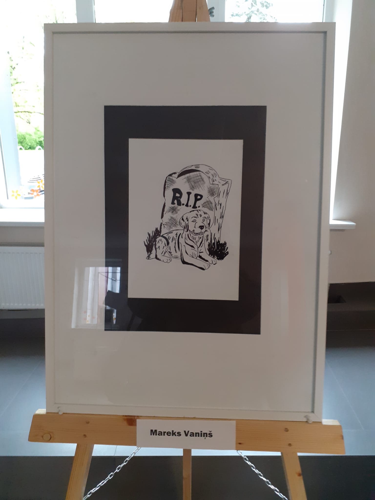 Galerijas bilde 6