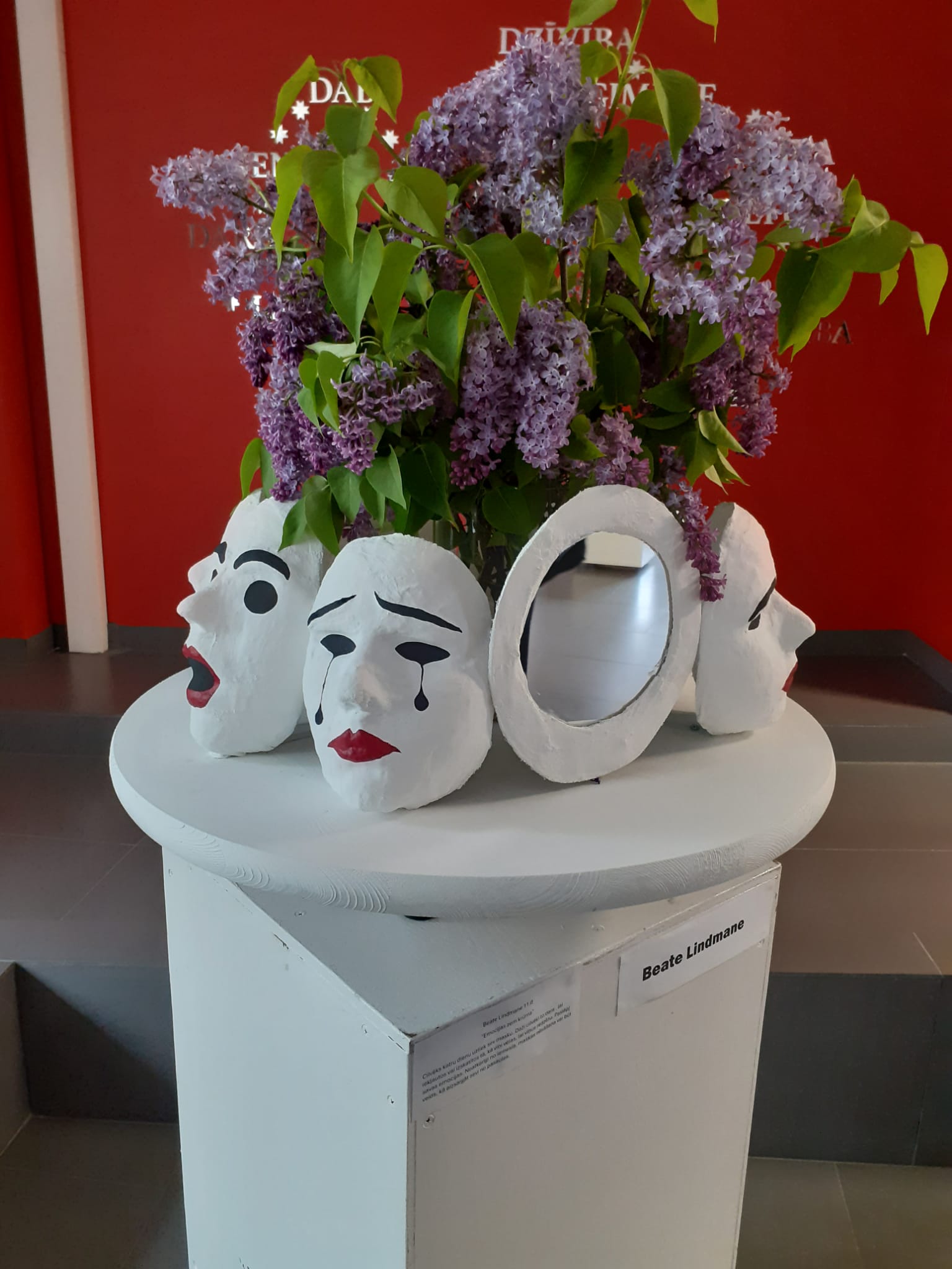 Galerijas bilde 10