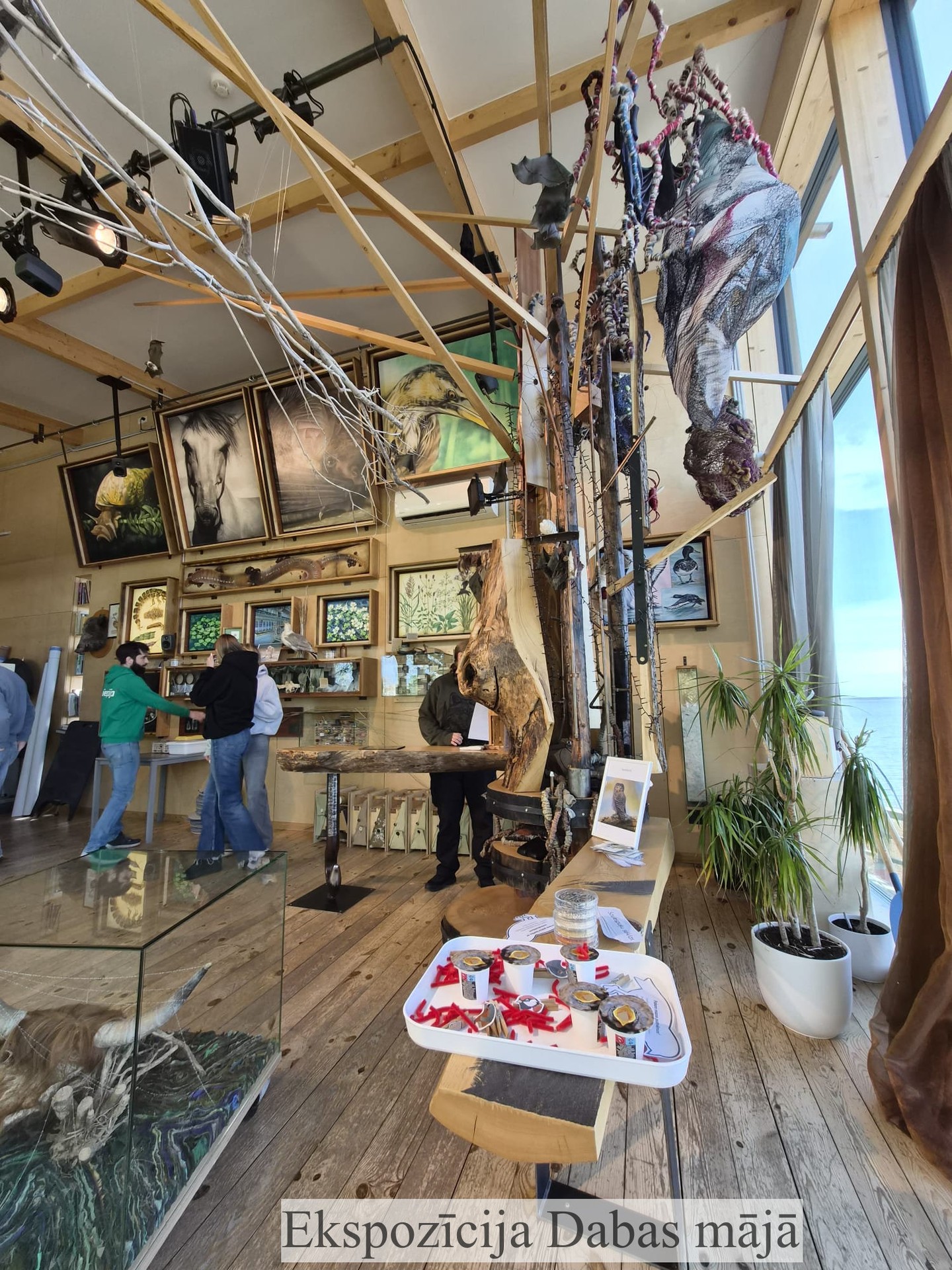 Galerijas fotogrāfija nr.8