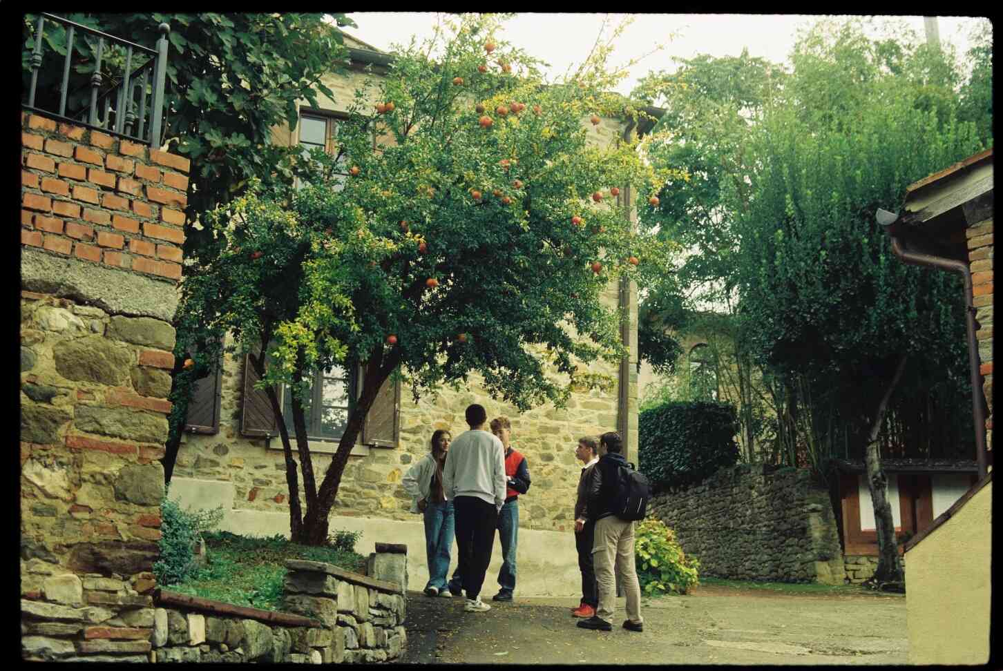 Galerijas fotogrāfija nr.2