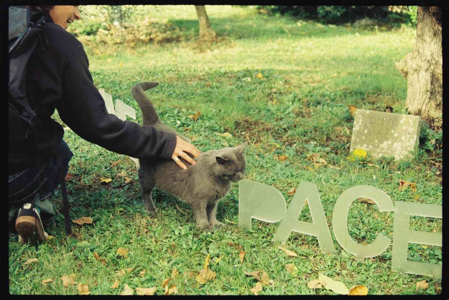 Galerijas fotogrāfija nr.3