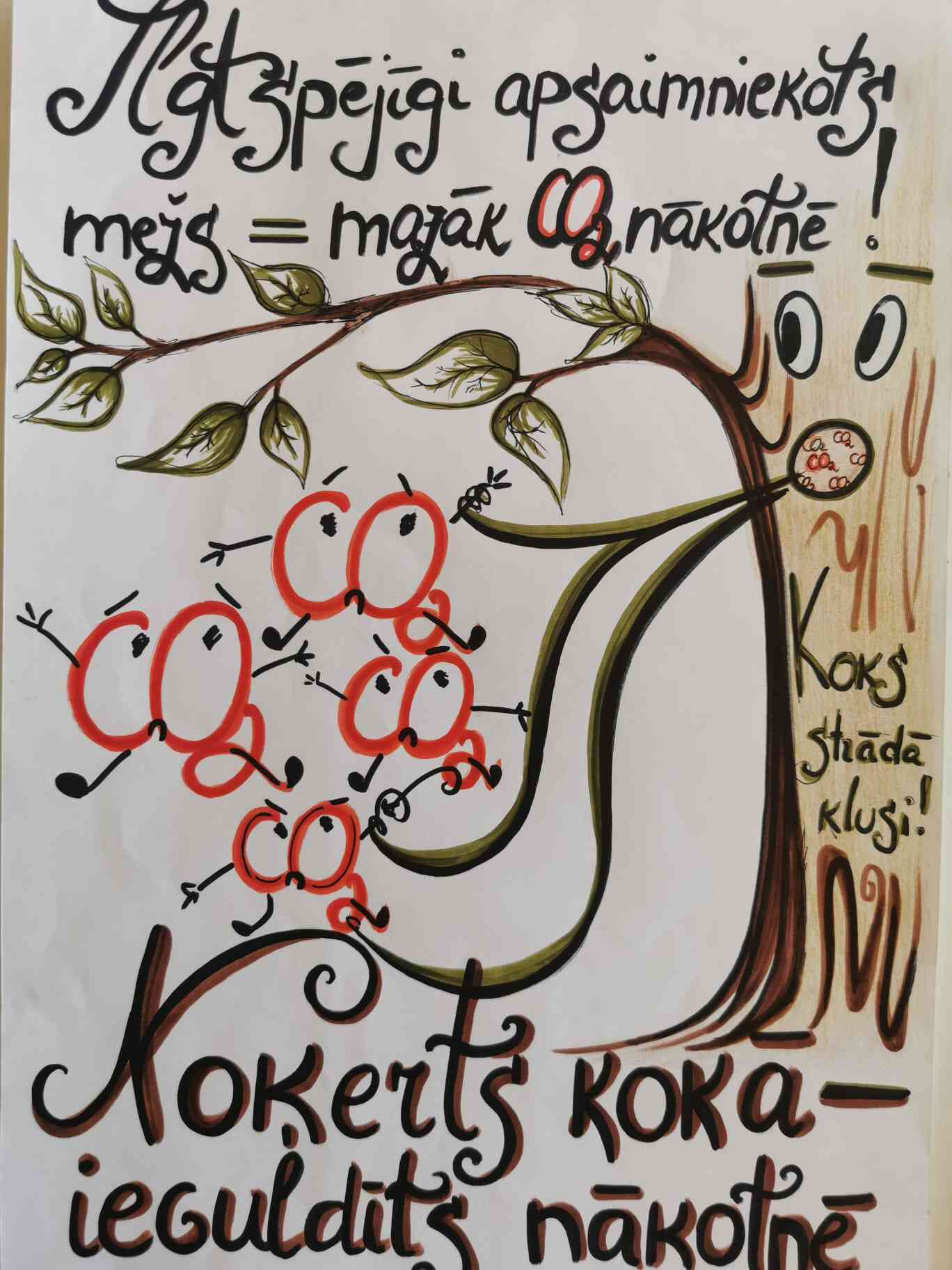 Galerijas fotogrāfija nr.7