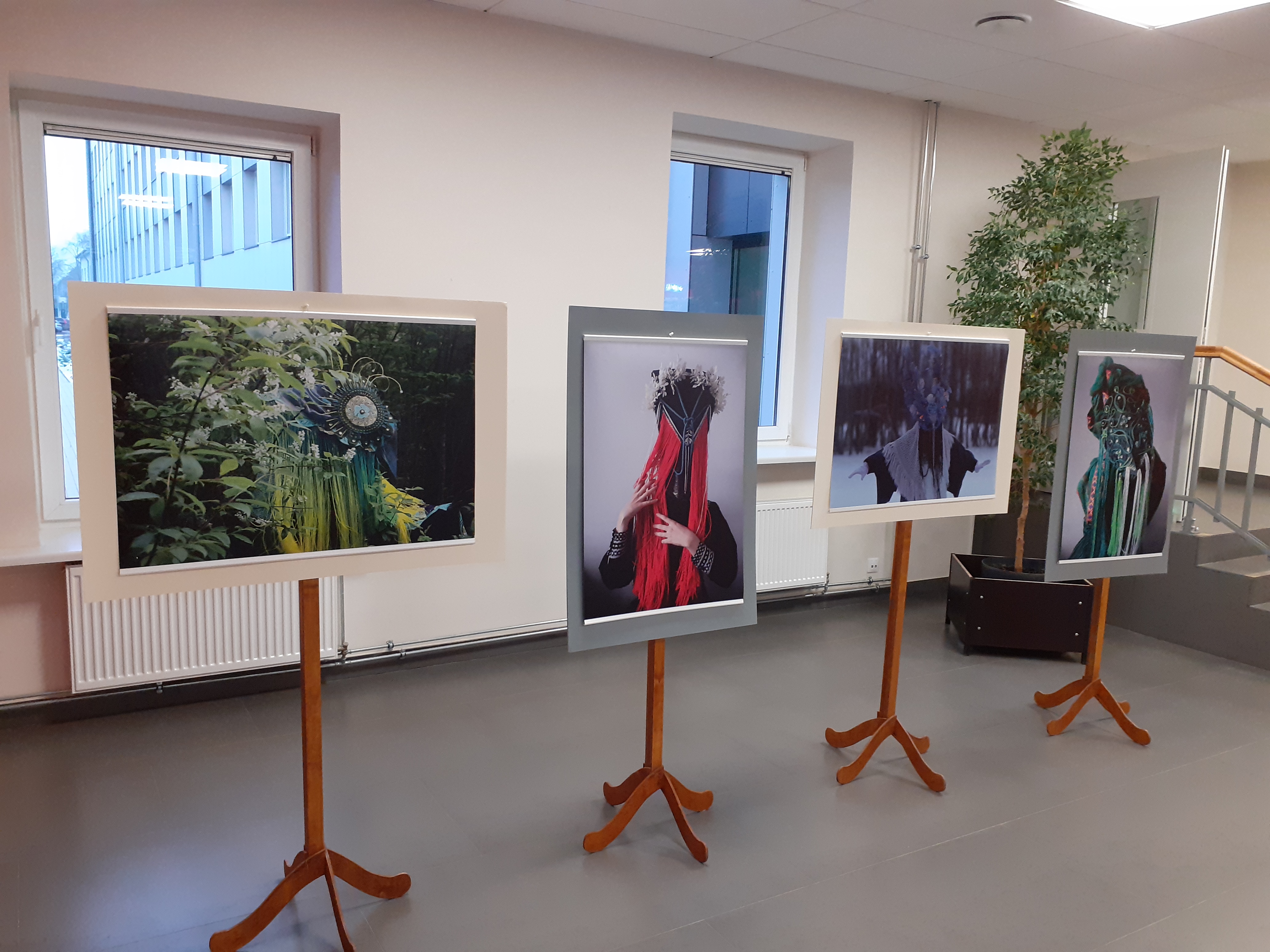 Galerijas bilde 2