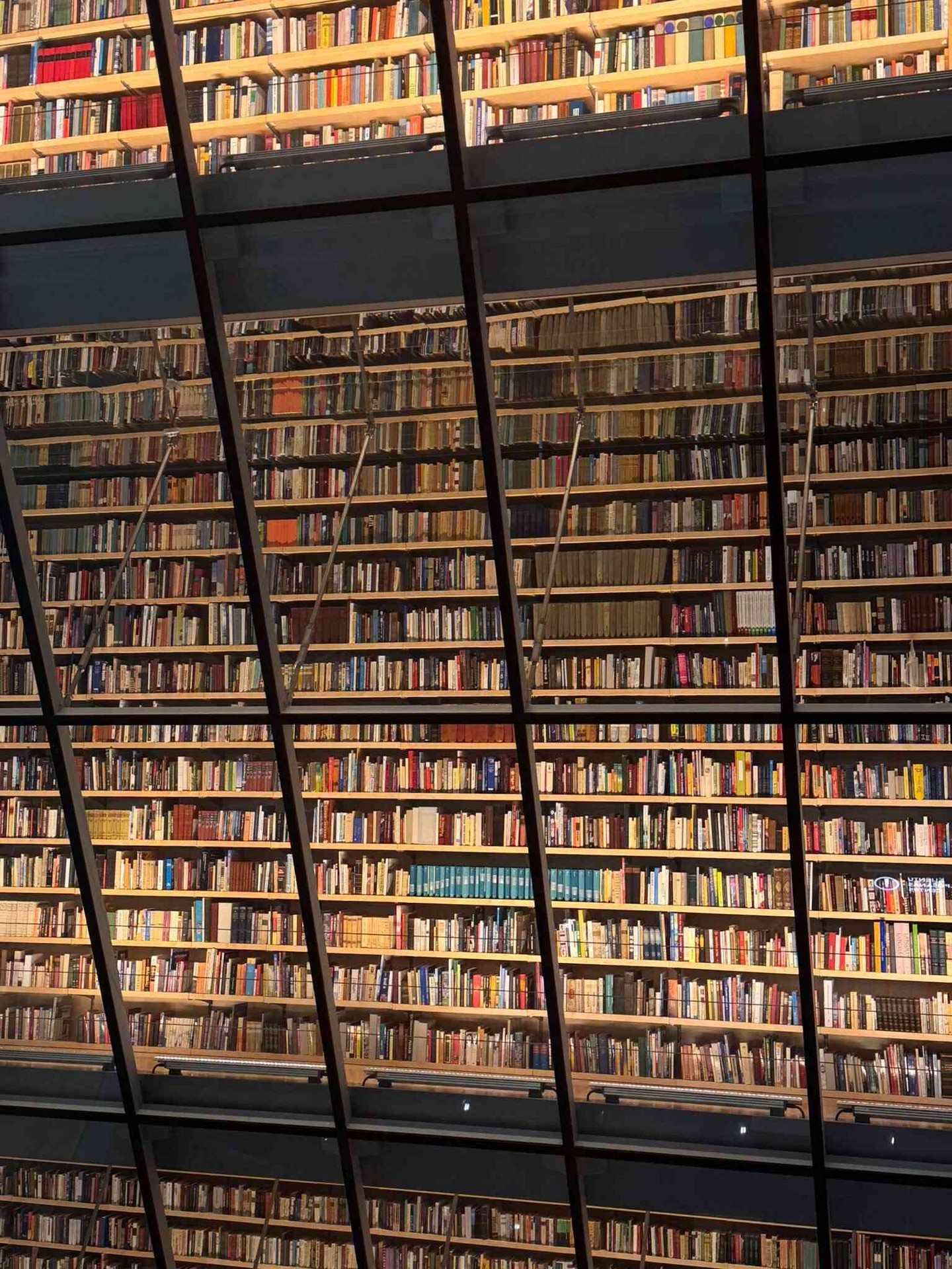 Galerijas fotogrāfija nr.4