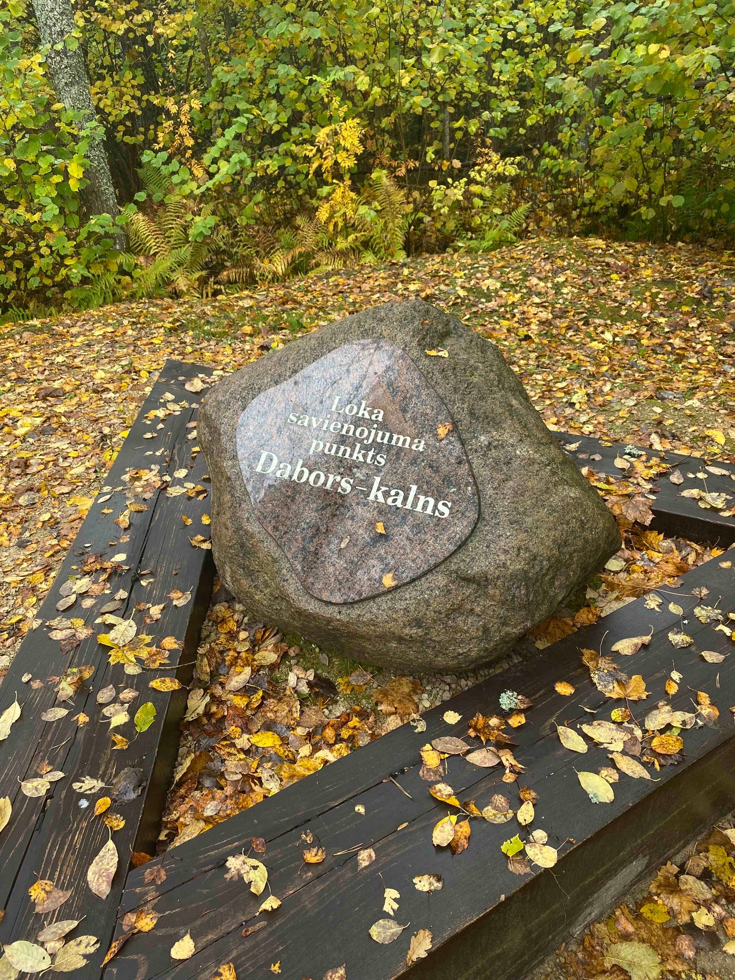 Galerijas fotogrāfija nr.7